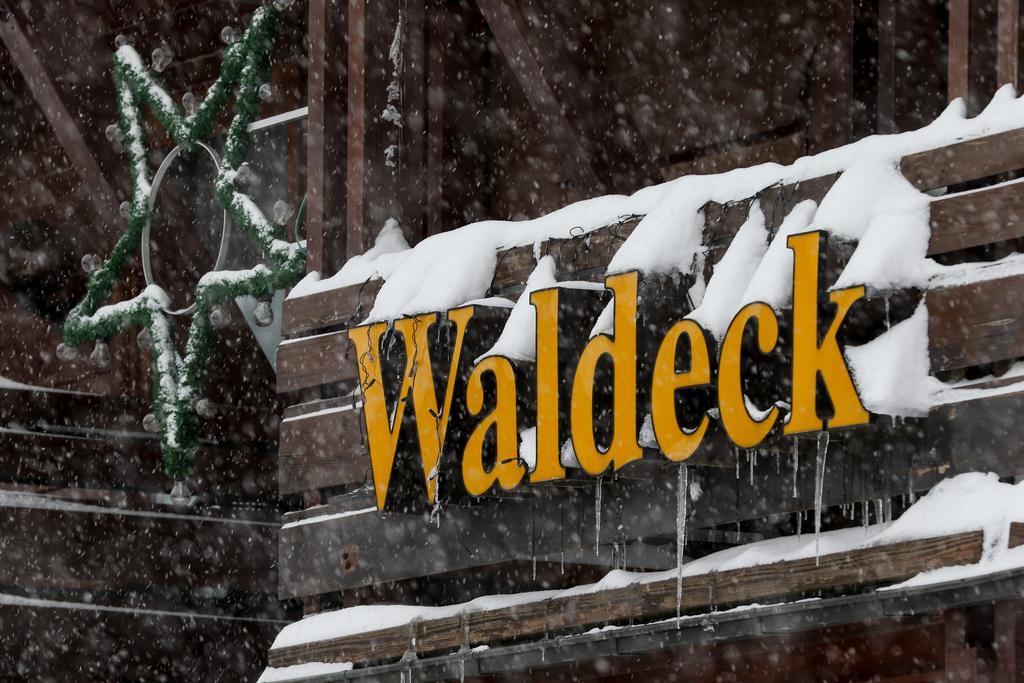 Gaestehaus Waldeck ティティゼー・ノイシュタット エクステリア 写真