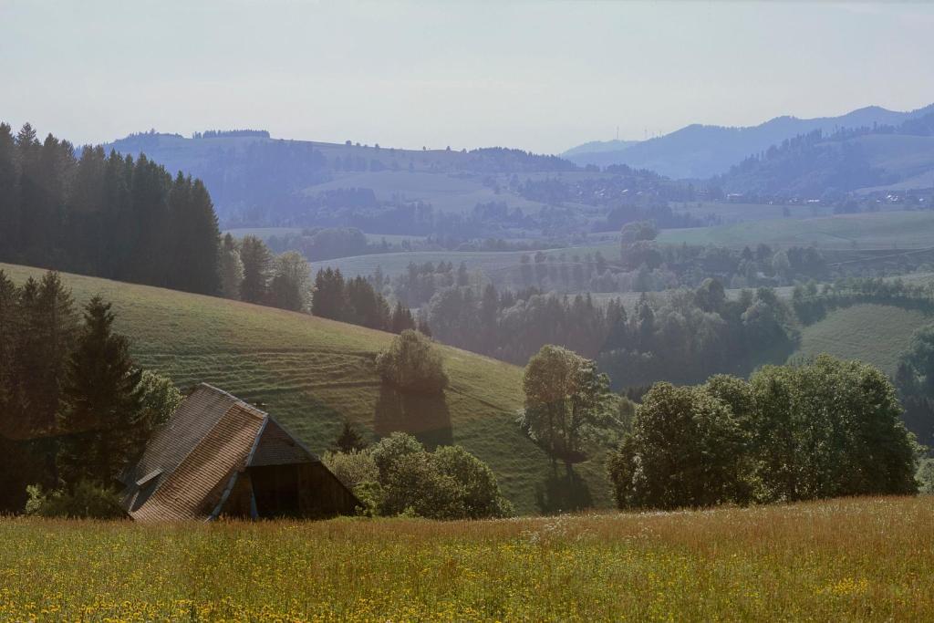 Gaestehaus Waldeck ティティゼー・ノイシュタット エクステリア 写真