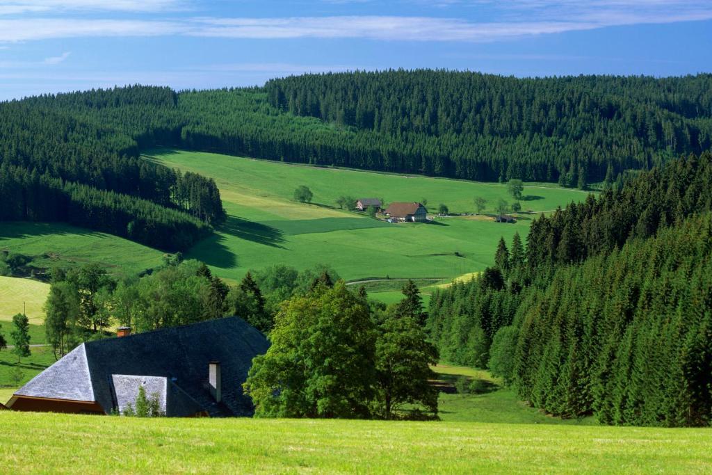Gaestehaus Waldeck ティティゼー・ノイシュタット エクステリア 写真
